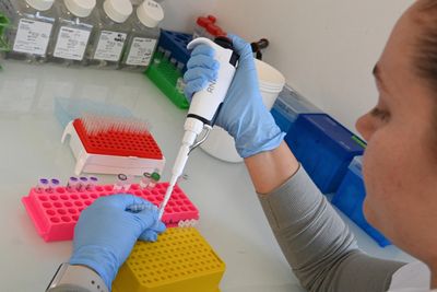 Scientists Discovered a Hidden Immune Backup System That Could Make mRNA Cancer Vaccines Far More Powerful