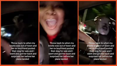 ‘You are an angel’: Woman comes to friend’s rescue after her ex-boyfriend allegedly posted their dog for sale, ‘I went and got her back’