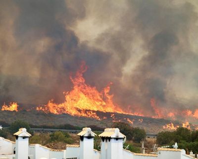 ‘The worst possible combination’: what has caused Spain’s deadly wildfires?