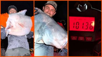 Missouri fisherman felt something massive on his line. Then his boat got almost 180 pounds heavier: ‘Chaos unleashed’