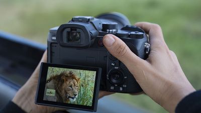 There are some things a camera is just better at – and that's why the Sony RX10 V exists