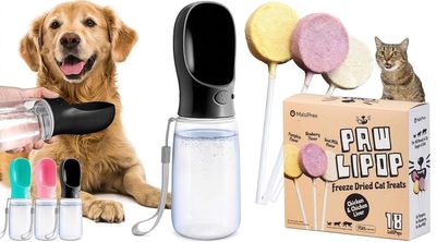 74 Clever Summer Pet Products That Transform Your Daily Routine – Clean, Calm & Fun!