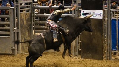 Champion bull rider to miss PBR season opener after revealing massive groin injury: ‘Yikes that looks ruff’