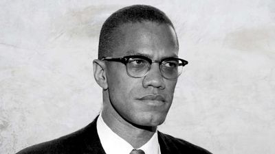 Quote of the day by Malcolm X: 'A wise man can play the part of a clown, but a clown can't play the part of a wise man'