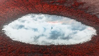 The aerial image of the year looks almost unreal – "I prioritize capturing the 'money shot' in-camera," says award-winning photographer