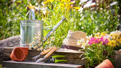 The timeless gardening wisdom your grandparents swore by — and why it still works today