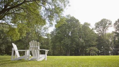 Should You Mow the Lawn in a Heatwave? Experts All Agree to Stop at This Temperature