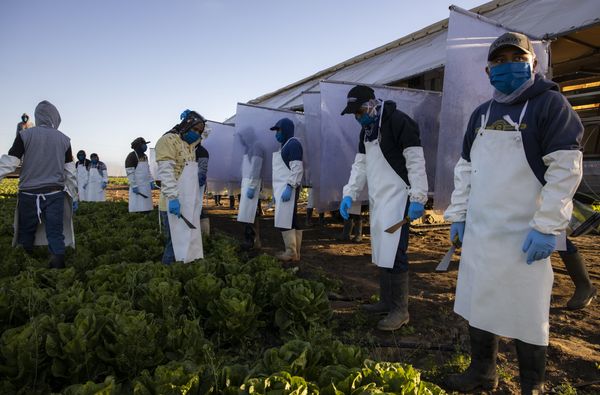 Michigan's Cyclospora Outbreak Jumped Again Overnight, Now at 1,562 Cases Across 43 Counties