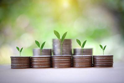 Why investors are pouring money into midcap and smallcap mutual funds again