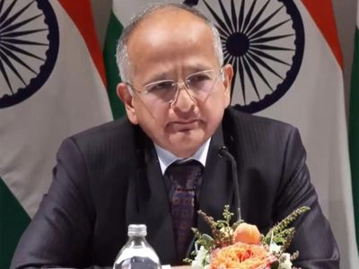 'PM Modi made several suggestions to advance trade ties with New Zealand': MEA during special press briefing