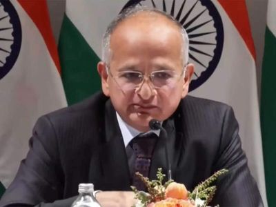 Ratification process for India-NZ FTA has begun, no set timeline yet: MEA