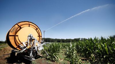 French farmers race to adapt as repeated heatwaves hit crops and livestock