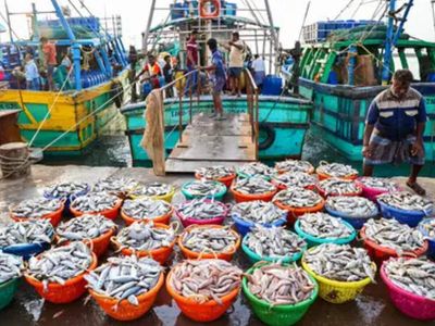 India lays groundwork for a big business boost along the coasts