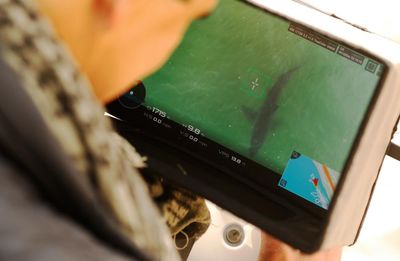 Drones are detecting more sharks at US beaches, but do they make the public safer?