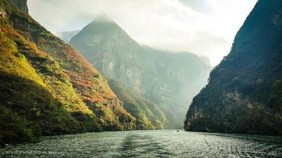 China's planted forests survived a 2022 heat wave worse at first, but then bounced back faster than natural forests in the Yangtze River Basin