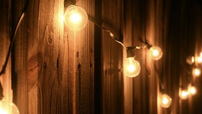 Aldi has launched a new range of solar garden lights – and they're all ridiculously cheap