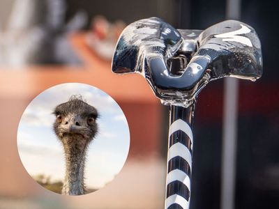 Tech randoms from the Tour de France – Techy, silly and curious finds from the biggest race in the world