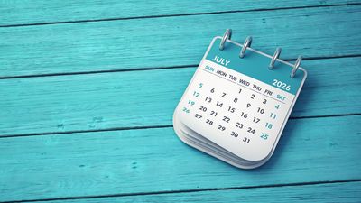 Finances Wandered Off Course? These 12 Month-by-Month Steps Will Help You Get Back on Track