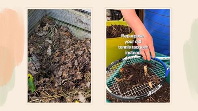 Garden expert reveals a genius way of repurposing old tennis racquets in your garden