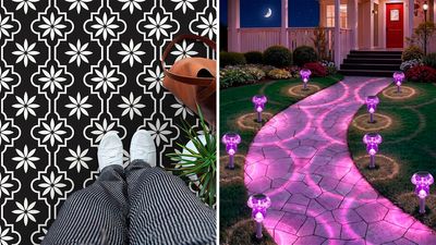 55 Weird New Things for Your Home Under $25 With Amazing Reviews