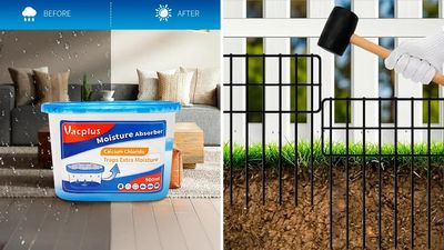 55 Surprising Mistakes That Are Damaging Your Home & Yard