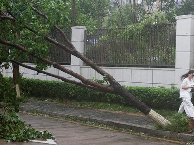 Typhoon Bavi batters east China; Taiwan reports 134 injured