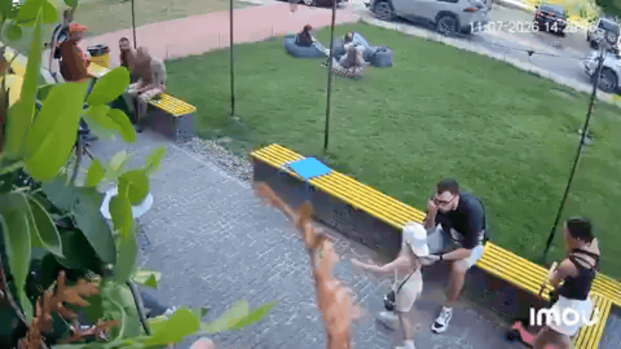 Watch: Ukrainian woman shields child as Russian strikes hit Sumy