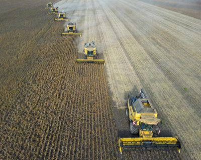 ‘Super’ El Niño could cause global food price shock lasting into 2028, analysts say