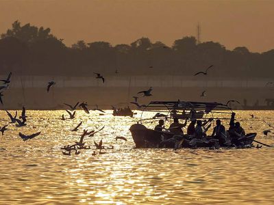 NMCG restoring five wetlands in Ganga basin, plans to expand conservation efforts