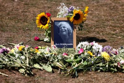 ‘Is everything ok?’: Ann Widdecombe’s final messages revealed