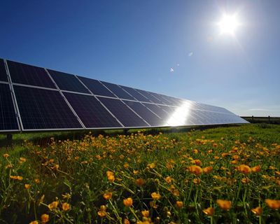 Britain’s biggest community solar farm forced to shut over grid overload fears