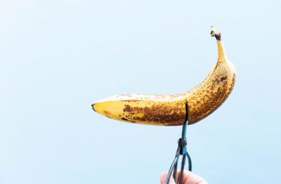 Snip happy: five men on their choice to get a vasectomy