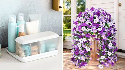 These 55 genius, cheap things instantly make your home more attractive