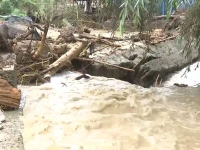 Cloudburst triggers flash flood in Jammu and Kashmir's Anantnag, damages crops and orchards