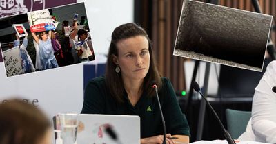'Heart-wrenching': workers' comp cases rising at the Mater amid mould scandal
