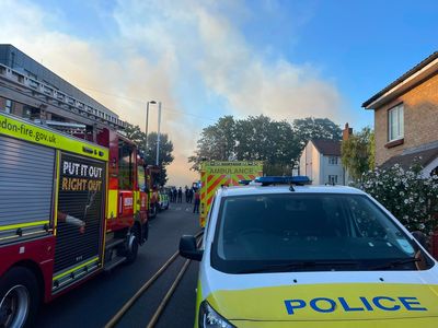 Huge fire damages homes and gardens in east London closing train lines and sparking evacuations