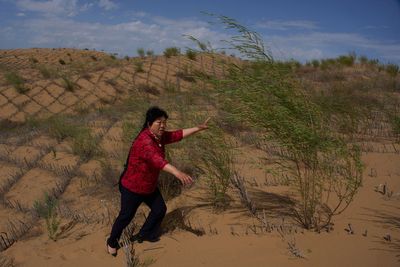 The ‘Green Great Wall’ of China: Scientists issue new warning despite 50 years of work to tame desert growth