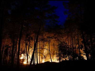 Huge fire rages in Fontainebleau forest near Paris