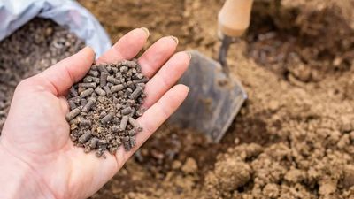 Iran tensions risk fertilizer flow to South American farmers