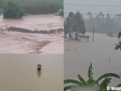 Watch Snakes on the street: Nearly 900 snakes, including cobras, escape flooded farm in China, enter nearby villages