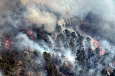British woman, 93, becomes 13th person to die in devastating Spanish wildfire