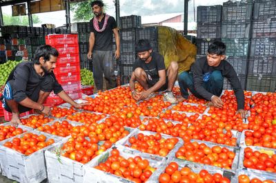 Calcutta High Court says TTEs sell empty berths like vegetables in market, asks Railways to penalise offenders