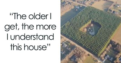 50 Random And Funny Memes To Scroll Through When You Need A Good Giggle