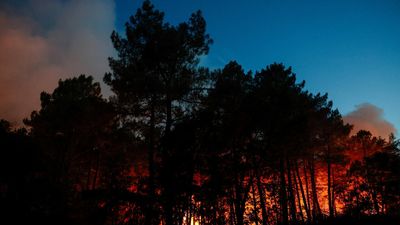 Massive fire burns in Fontainebleau near Paris