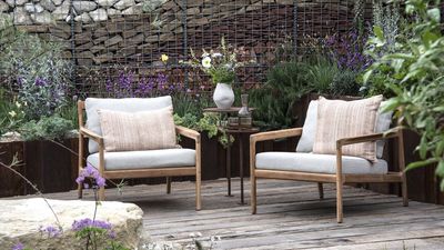 The Best Plants for a Cooler Patio – These Easy Varieties Create Instant Shade and Relief During Heatwaves
