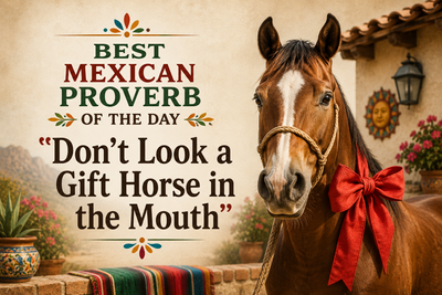 Best Mexican proverb of the day: "Don't look a gift horse in the mouth." A timeless lesson on gratitude and appreciation