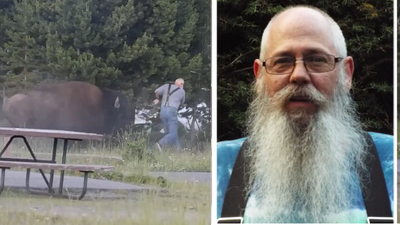 65-year-old grandfather attacked by a Yellowstone bison was cracking jokes despite breaking multiple bones