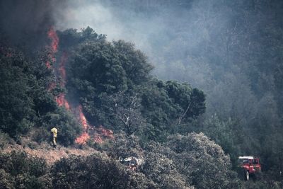 Major fire in Fontainebleau forest near Paris forces evacuations and closes highway