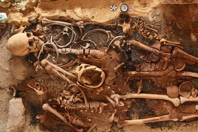Ancient Egyptian tombs with two dozen ‘gold tongues’ found along Mediterranean