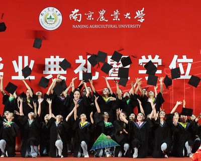 China’s graduate glut: millions enter a job market with little use for them